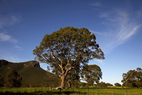 Dunkeld Studio Accommodation - Accommodation Fremantle 23