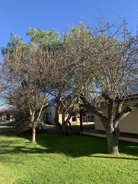 Dunkeld Studio Accommodation - Accommodation Fremantle 4