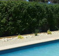Robinvale Bridge Motel - Accommodation Fremantle