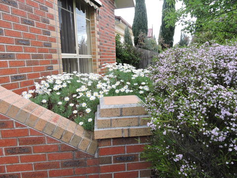 Monash And Chadstone WiFi - Accommodation Fremantle 3
