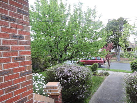 Monash And Chadstone WiFi - Accommodation Fremantle 2