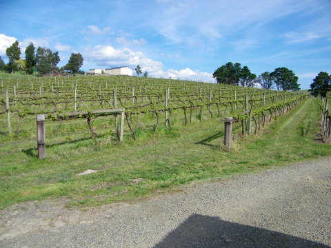 De\'Vine Escape - Accommodation Fremantle 30