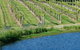 De\'Vine Escape - thumb 29
