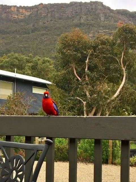 Kangurra Holiday House - Accommodation Fremantle 15