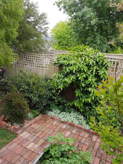 Healesville House - Fig Tree House - Accommodation Fremantle 21