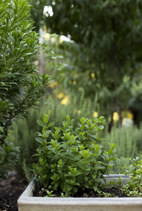 Botanica Editions - Accommodation Fremantle 5