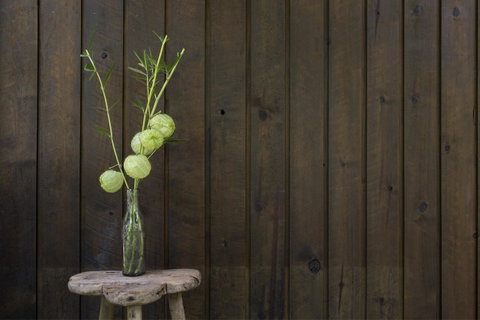 Botanica Editions - Accommodation Fremantle 10
