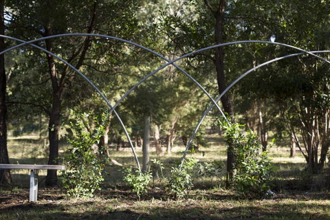 Botanica Editions - Accommodation Fremantle 42