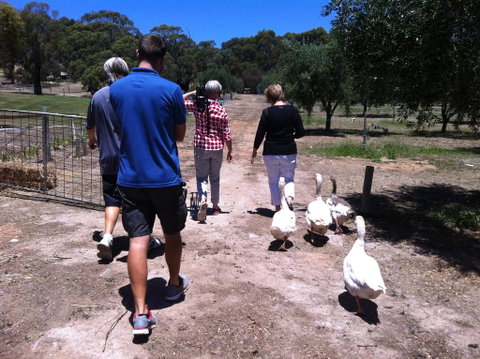 The Farm Willunga - Accommodation Fremantle 1