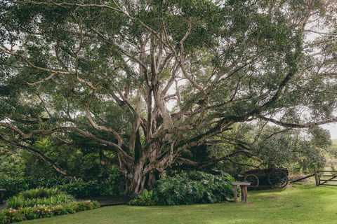 The Eumundi Dairy - Accommodation Fremantle 2