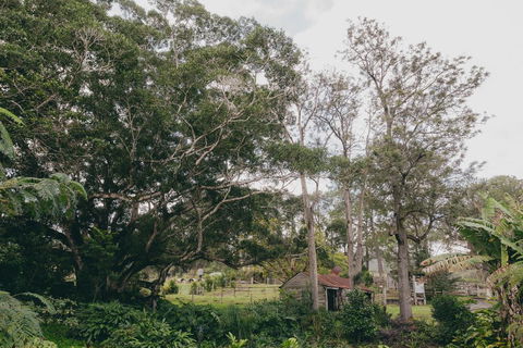 The Eumundi Dairy - Accommodation Fremantle 1