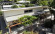 The Grape And Olive At Willunga - thumb 3