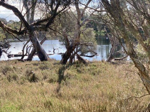 The Lake House - Accommodation Fremantle 0