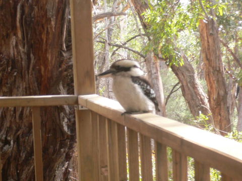 The Ledge Holiday House - Accommodation Fremantle 0