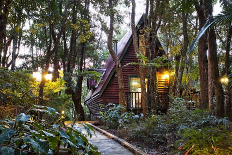 The Mouses House Rainforest Retreat - Accommodation Fremantle 1