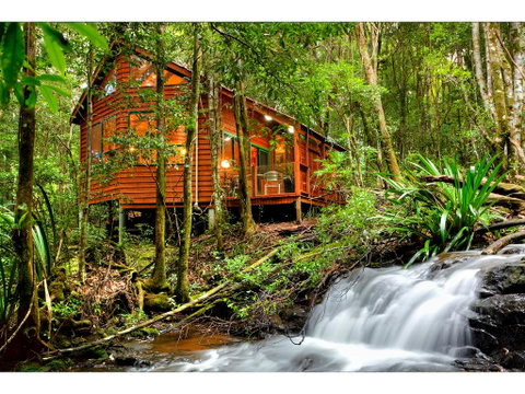 The Mouses House Rainforest Retreat - Accommodation Fremantle 0