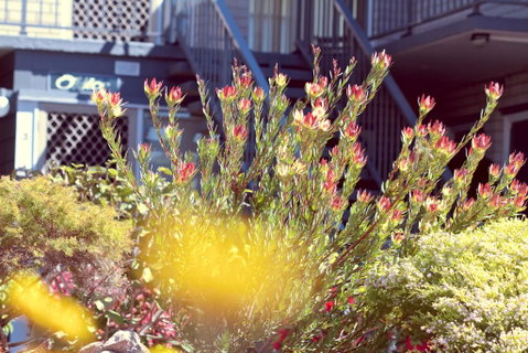 The Sands Holiday Apartments - Accommodation Fremantle 3