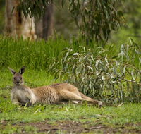 The Stirling Golf Club - Accommodation Fremantle