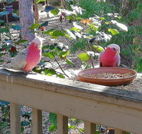 The Treehouse In Dawesville - Accommodation Fremantle