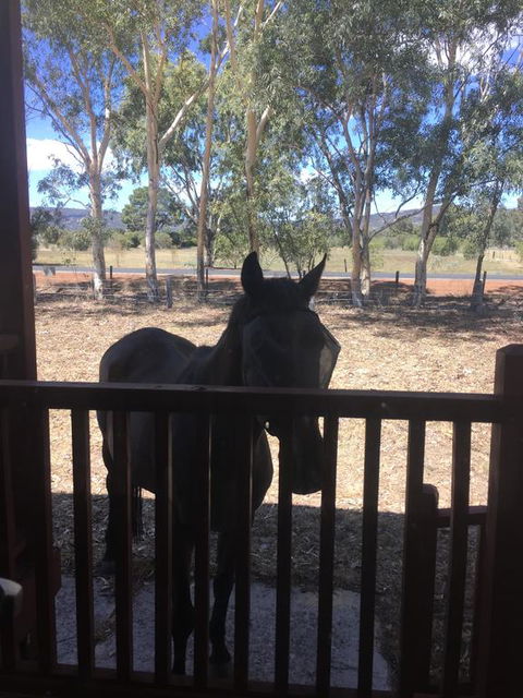 Thie My Chree Retreat - Accommodation Fremantle 3