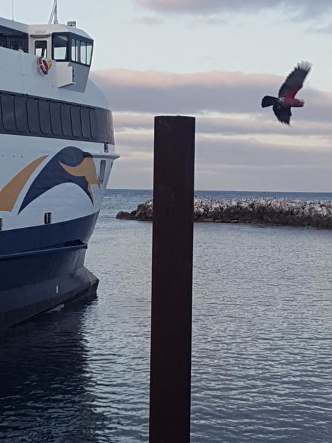 Trading Places Kangaroo Island - Accommodation Fremantle 2