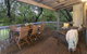 Tranquil Waters - Pet Friendly Family Beach House In Quindalup - thumb 2