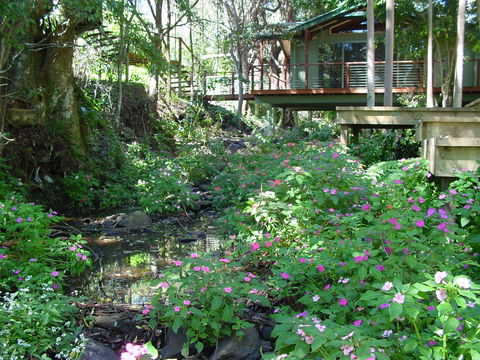 Treetops Montville - Accommodation Fremantle 0