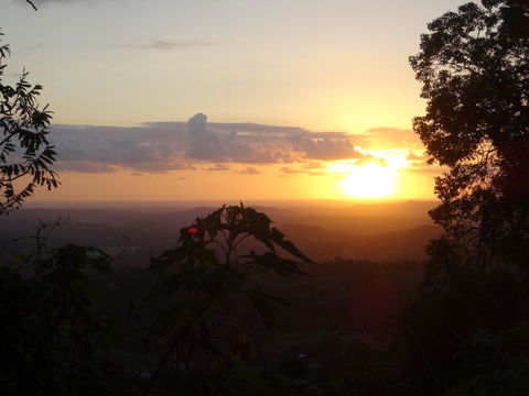 Treetops Montville - Accommodation Fremantle 3