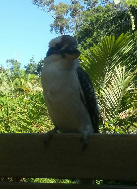 Tropic Oasis - Accommodation Fremantle 3