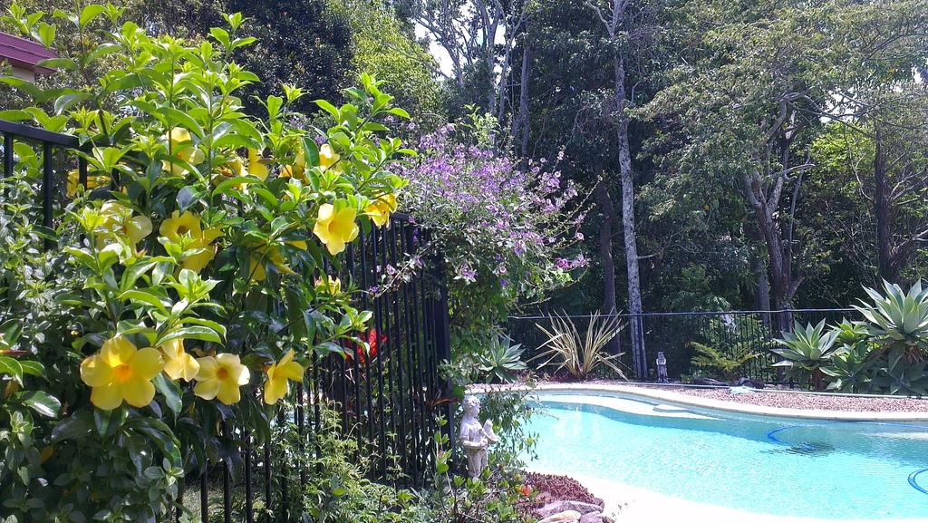 Duranbah NSW Accommodation Fremantle
