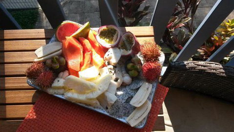 Turtle Reef Bed & Breakfast Cairns - Accommodation Fremantle 2