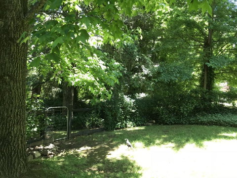 Tyntynder Garden Cottage 4 - Accommodation Fremantle 2