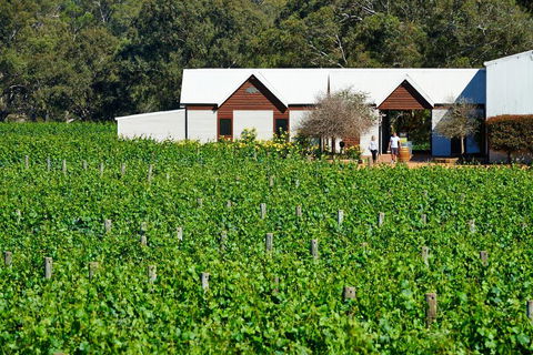 Upper Reach Spa Cottage - Accommodation Fremantle 0