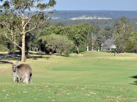 Villas Treinta (Sleeps 30) Resort Condos Located Within Cypress Lakes Resort (nothing Is More Central) - Accommodation Fremantle 0