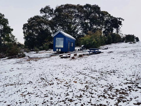 Walden Tiny House - Accommodation Fremantle 2