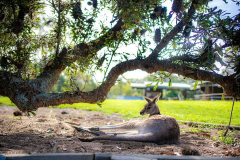 Waterfall Springs Retreat - Accommodation Fremantle 1