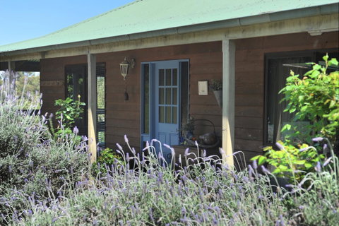 Lavender Farm - Accommodation Fremantle 8