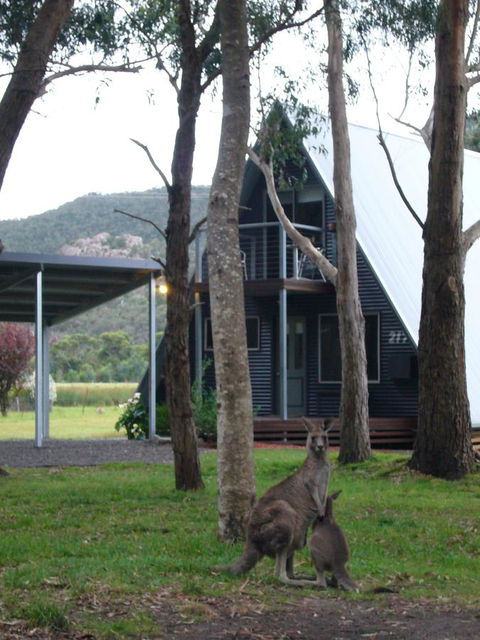 The A-Frame - Accommodation Fremantle 1