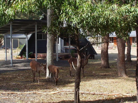 The A-Frame - Accommodation Fremantle 13