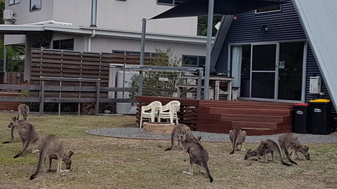 The A-Frame - Accommodation Fremantle 3
