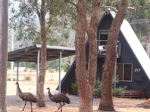 The A-Frame - Accommodation Fremantle 9