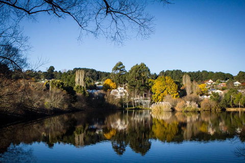 Chestnut Daylesford - Accommodation Fremantle 14