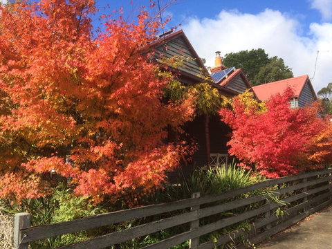 Chestnut Daylesford - Accommodation Fremantle 13