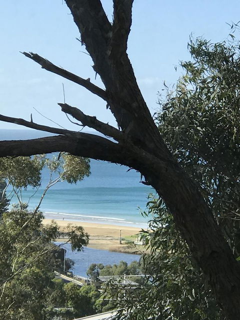 Lorne Sea View Terrace House - Accommodation Fremantle 12