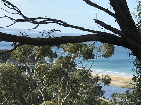 Lorne Sea View Terrace House - Accommodation Fremantle 10
