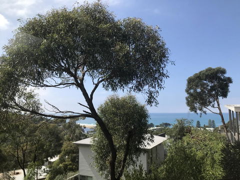 Lorne Sea View Terrace House - Accommodation Fremantle 26
