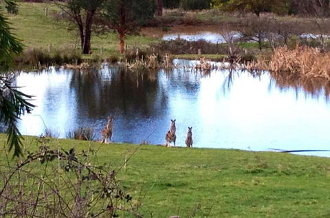 Australian Home Away @ Wonga Park Brushy Creek - Accommodation Fremantle 17