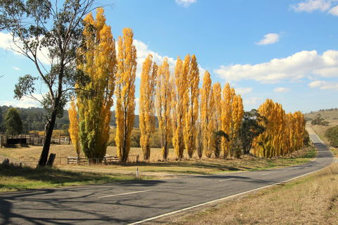 3 Bells Alpine Cottage - Accommodation Fremantle 20