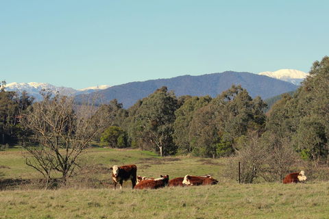 3 Bells Alpine Cottage - Accommodation Fremantle 21