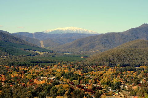 3 Bells Alpine Cottage - Accommodation Fremantle 24